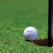golf golf Photo