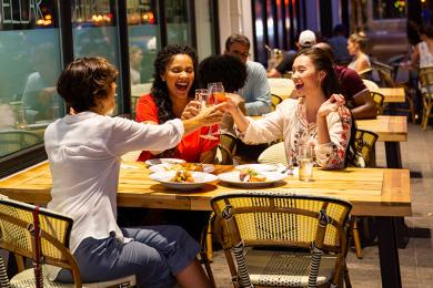 Girlfriends enjoying Dinner