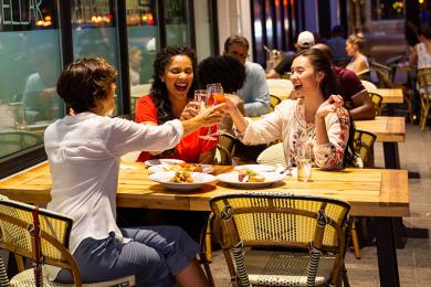 Girlfriends enjoying Dinner