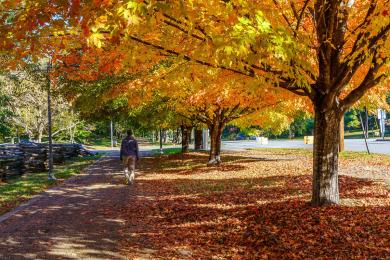 Downtown strollway in the fall