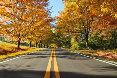 Conrad Road in Lewisville during the fall