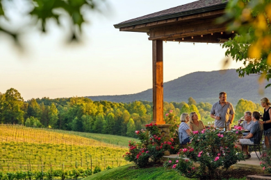 Round Peak Vineyards in Pilot Mountain