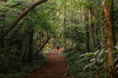 The woodland trail in Reynolda Gardens