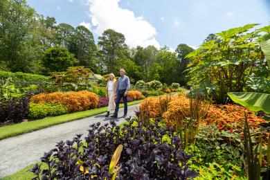 Fall in Reynolda Gardens