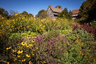 Fall in Winston-Salem