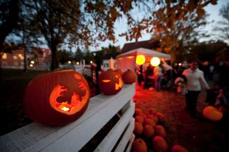 Pumpkins in Old Salem