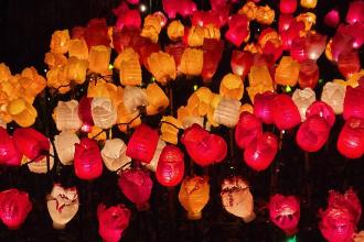 A field of illuminated flowers created by solar lights and plastic bottles