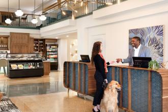 Dog checking into Hotel Indigo