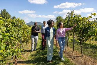 Two men and two women stroll through the vines of JOLO Vineyards, with Pilot Mountain visible in the background.