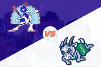 Carolina Disco Turkeys Vs Greensboro Yard Goats Photo