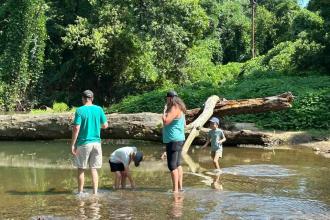 Creek Stomp Photo