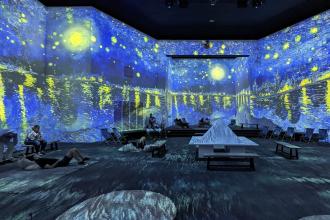 Van Gogh: The Immersive Experience Winston-Salem Photo