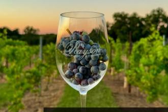 Thirsty Thursdays at Rayson Winery Photo