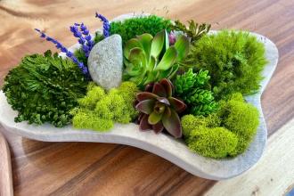 Wellness Wednesday Tablescape Sanctuary Workshop Photo