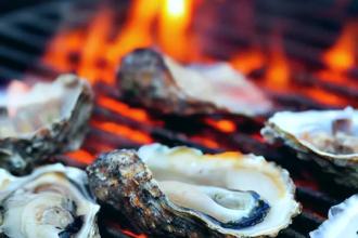 Oyster Roast at Shelton Vineyards Photo
