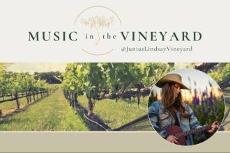 Music in the Vineyard: Allyn Raney Photo