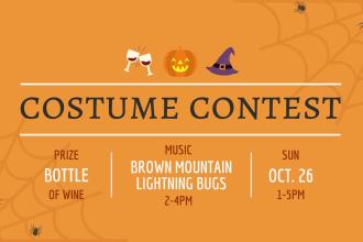 JLV Costume Contest with The Brown Mountain Lightning Bugs Photo