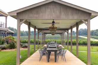 Rayson Harvest Party with Greensboro Opera Photo