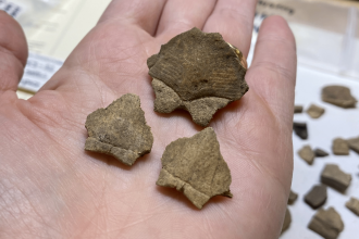 Lunch &amp; Learn: Attending Feasts, Attending Fish Photo