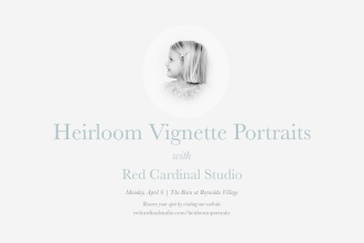 Red Cardinal Studio Photo