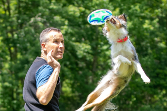 UpDog International Finals at Tanglewood Photo