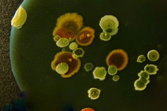 Photo by GUY GRANDJEAN on Unsplash Photo