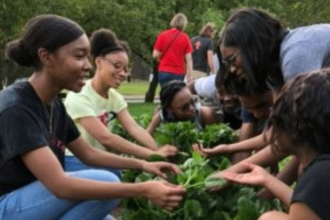 Hands on Garden Planting (for all ages) Photo