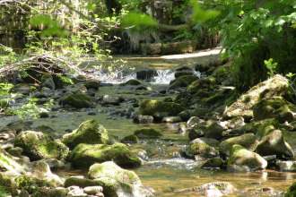 Photo by Brian Cockley on Unsplash Photo