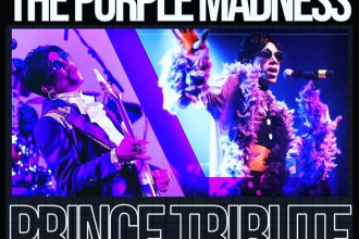The Purple Madness Prince Tribute Photo