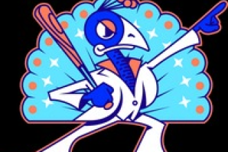 Carolina Disco Turkeys Baseball Game Photo