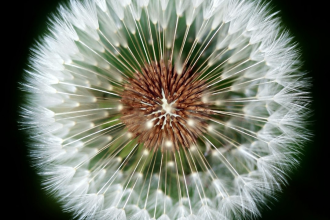 Photo by olena ivanova on Unsplash Photo