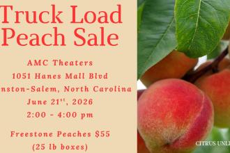 Peach Sale - Winston-Salem, NC Photo