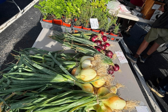 Clemmons Farmers Market Photo