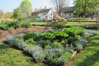 Conserving Plant Diversity at Old Salem and Around the World Photo