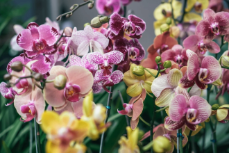 Photo by Ardi Evans on Unsplash Photo