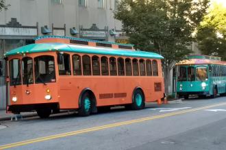 Miss Salem &amp; Sir Winston TROLLEYS Photo 2