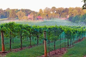 Yadkin Valley Photo
