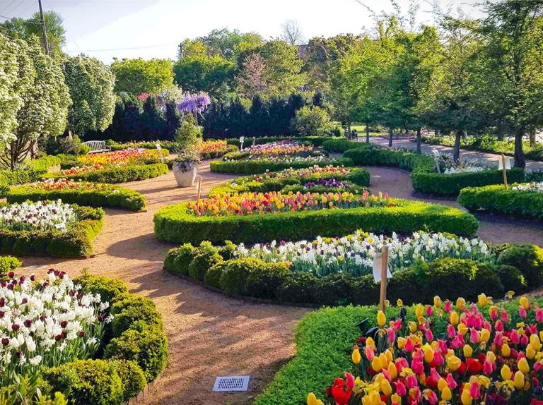 Ciener Botanical Garden