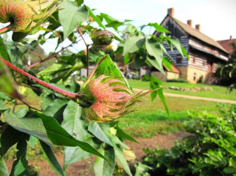 Old Salem