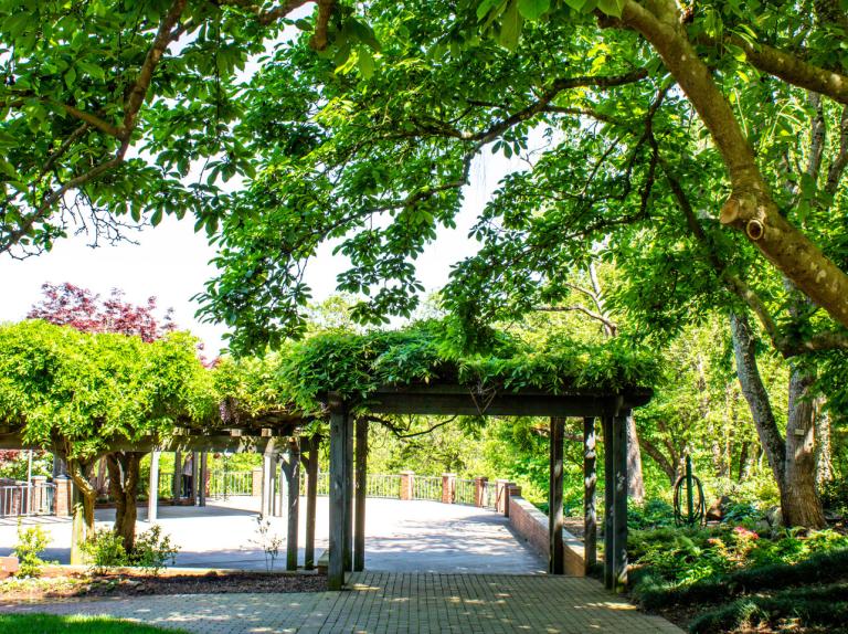 Tanglewood Arboretum