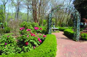 Tanglewood Park’s Arboretum