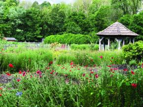Historic Bethabara Park
