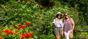 Hierloom Gardens at Historic Reynolda Gardens