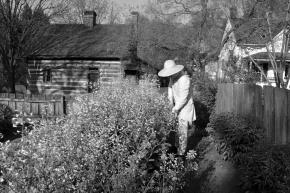 Old Salem spring B&amp;W
