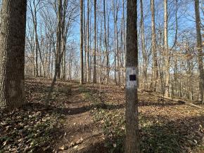 Woodland loop around Bethabara God's Acre