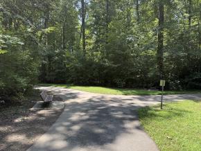 Tanglewood Red Trail cut through intersection