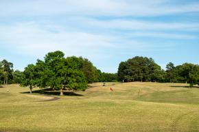 A large, open view of the Reynolds Park Golf Course on the path of the Salem Creek Greenway.