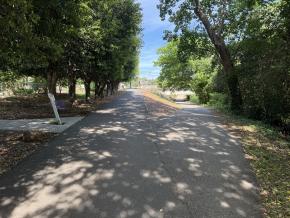 A shaded section of the Salem Creek Greenway Trail that forks between two paths.